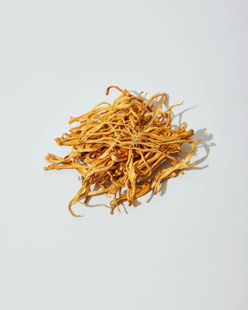 unsplash_lOzvCmXRWJU_cordyceps.webp