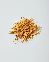 unsplash_lOzvCmXRWJU_cordyceps.webp