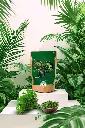 Organic Moringa Powder